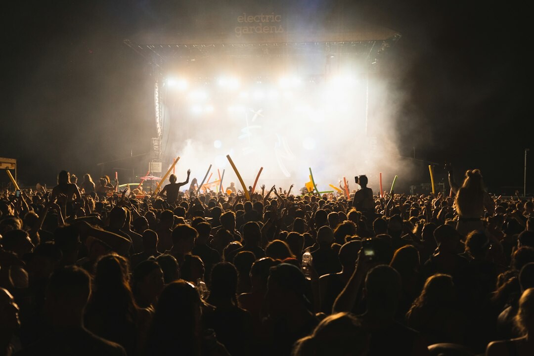 crowd at music festival